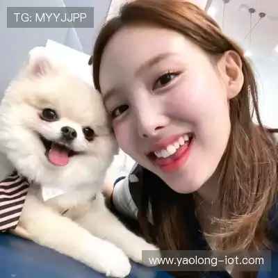 邬芸意